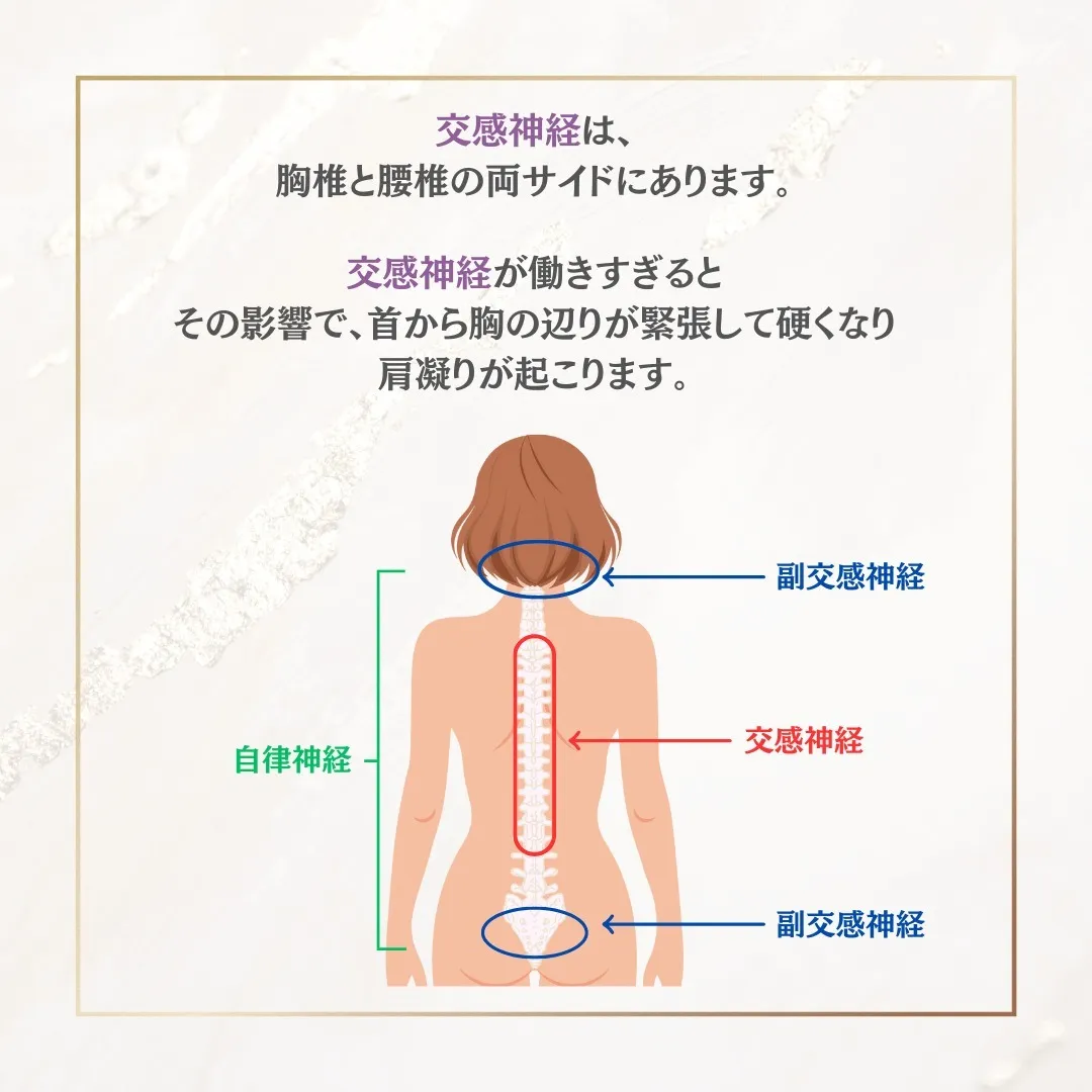 肩凝りの原因は、